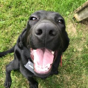 Meet your Posher, Jamie